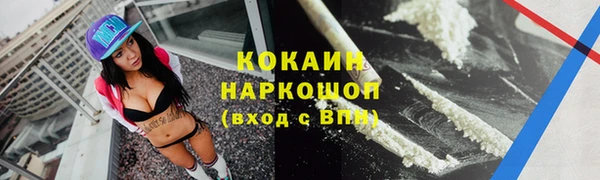 ешки Арсеньев