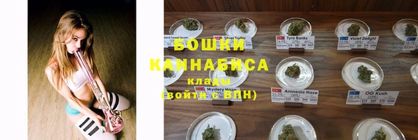 ешки Арсеньев